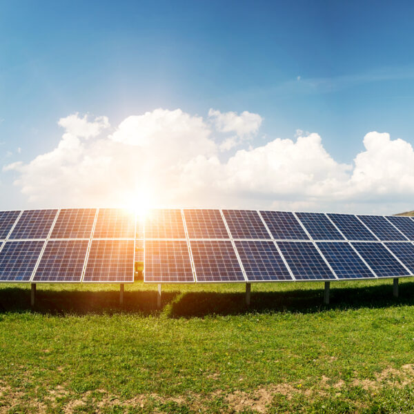 solar panels