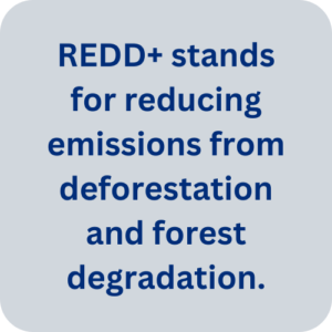 REDD+ stands for reducing emissions from deforestation and forest degradation.